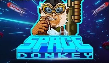 Space Donkey